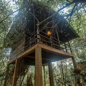 On The Tree Eco Sigiriya Sri Lanka